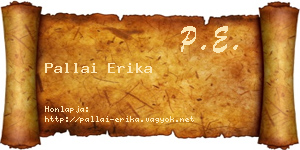 Pallai Erika névjegykártya
